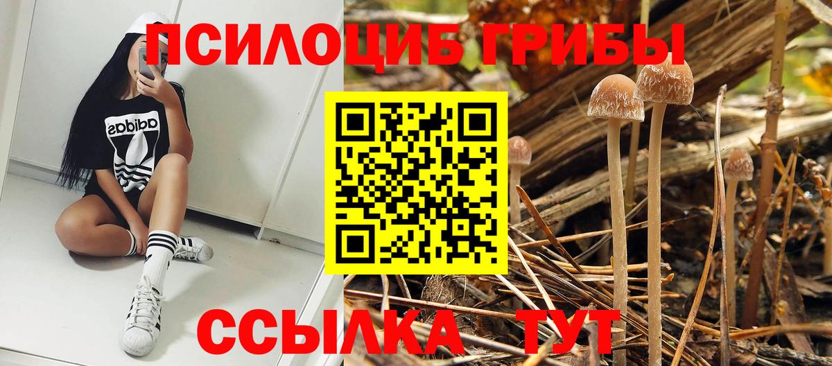 Галлюциногенные грибы мухоморы  Вход с VPN  Рубцовск 