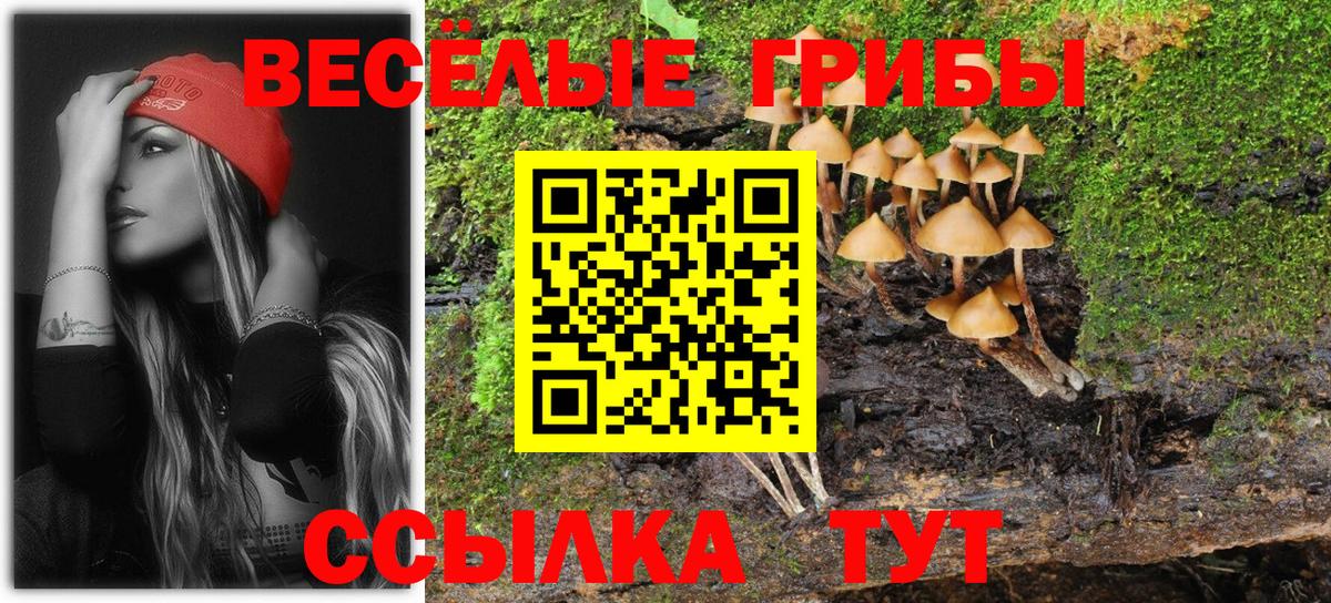 Псилоцибиновые грибы мицелий Рубцовск